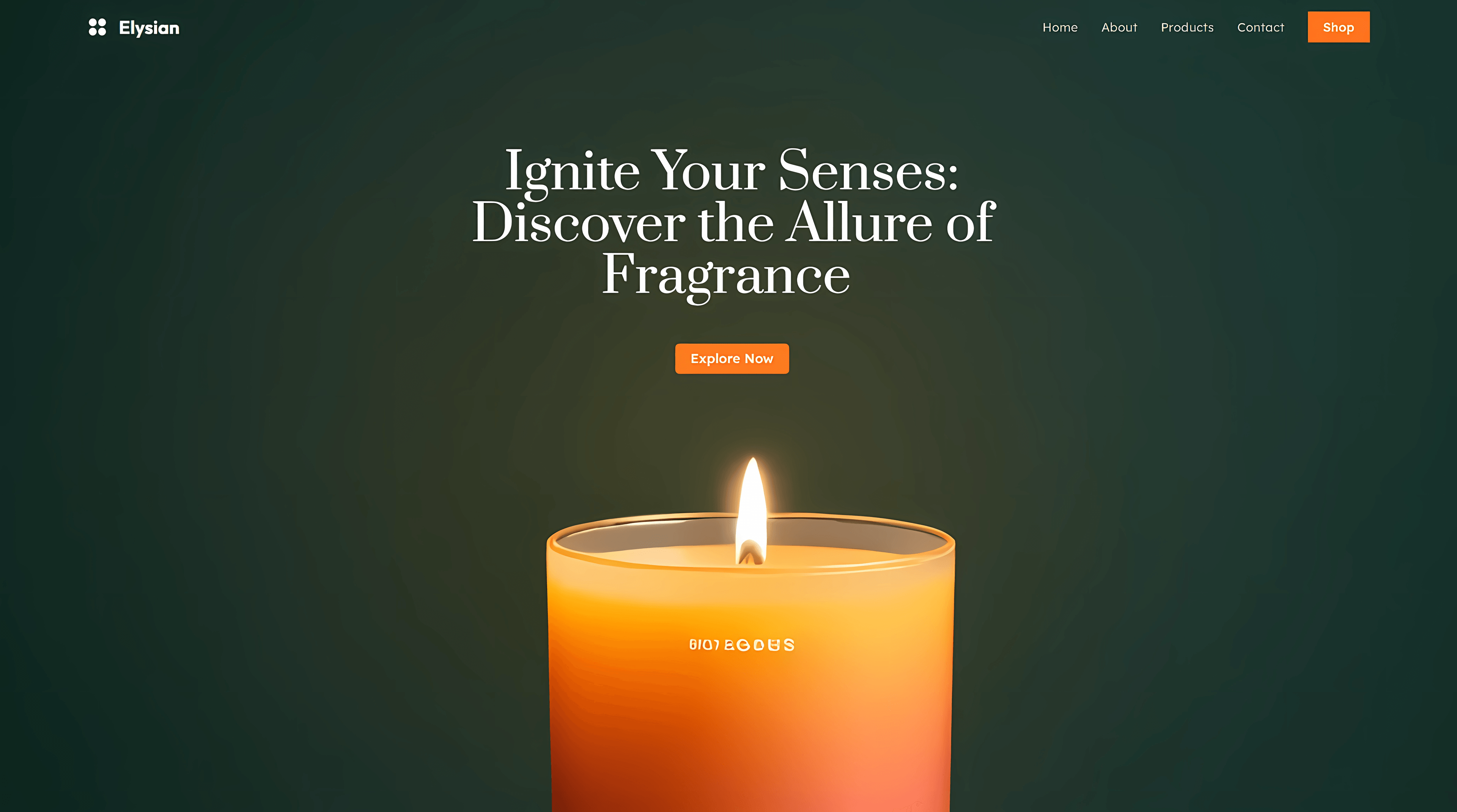 Company Website/App Image