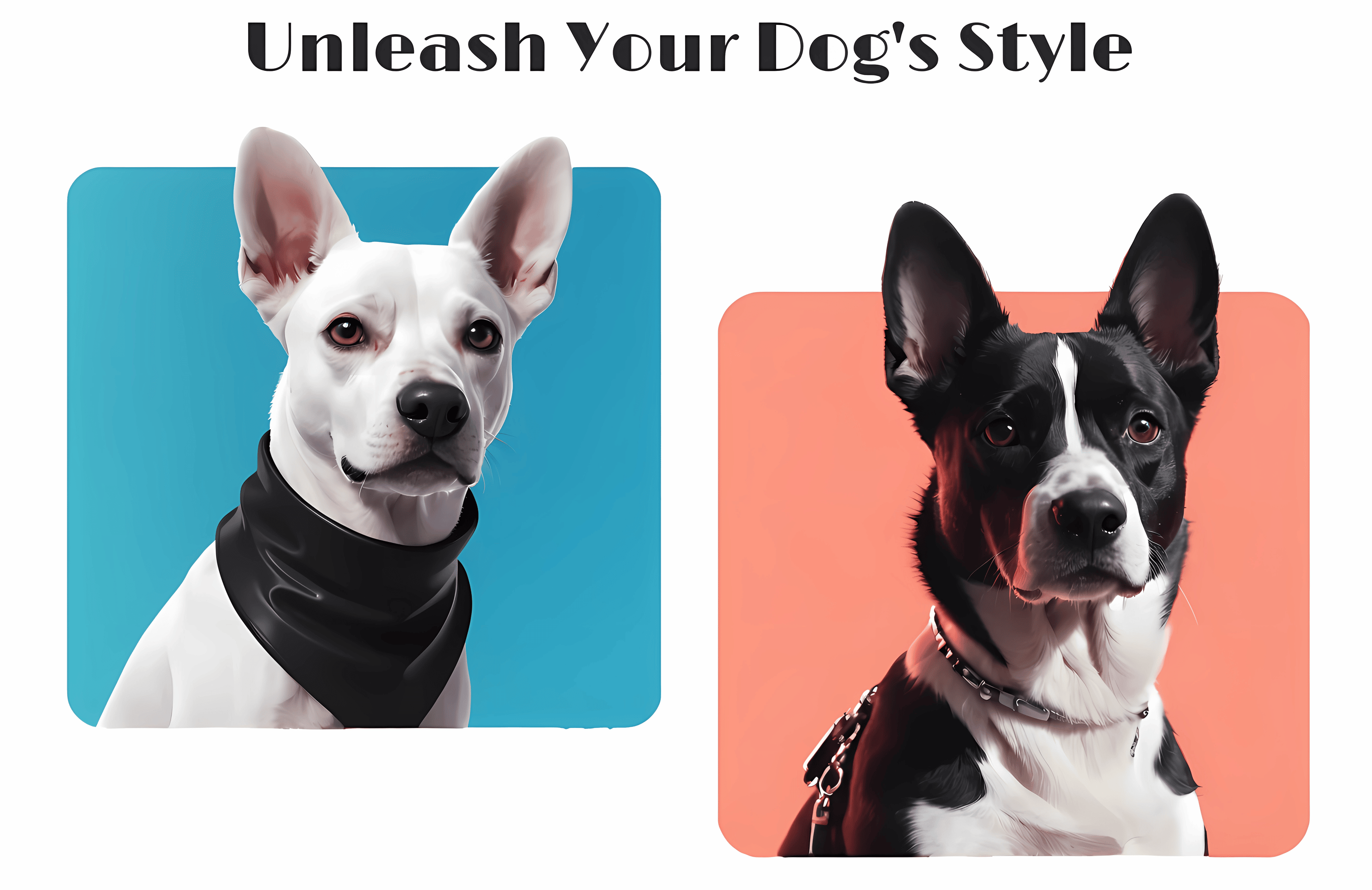 Website of PawStyle